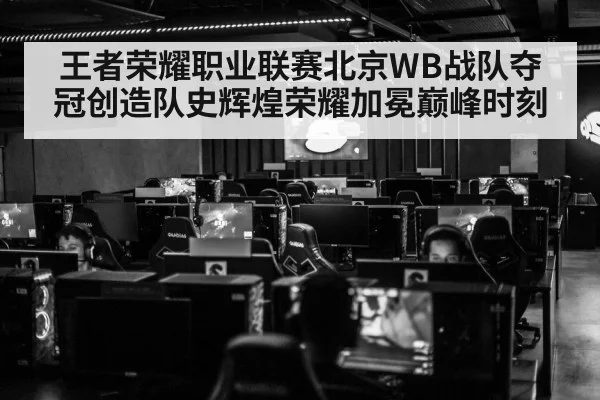 王者荣耀职业联赛北京WB战队夺冠创造队史辉煌荣耀加冕巅峰时刻
